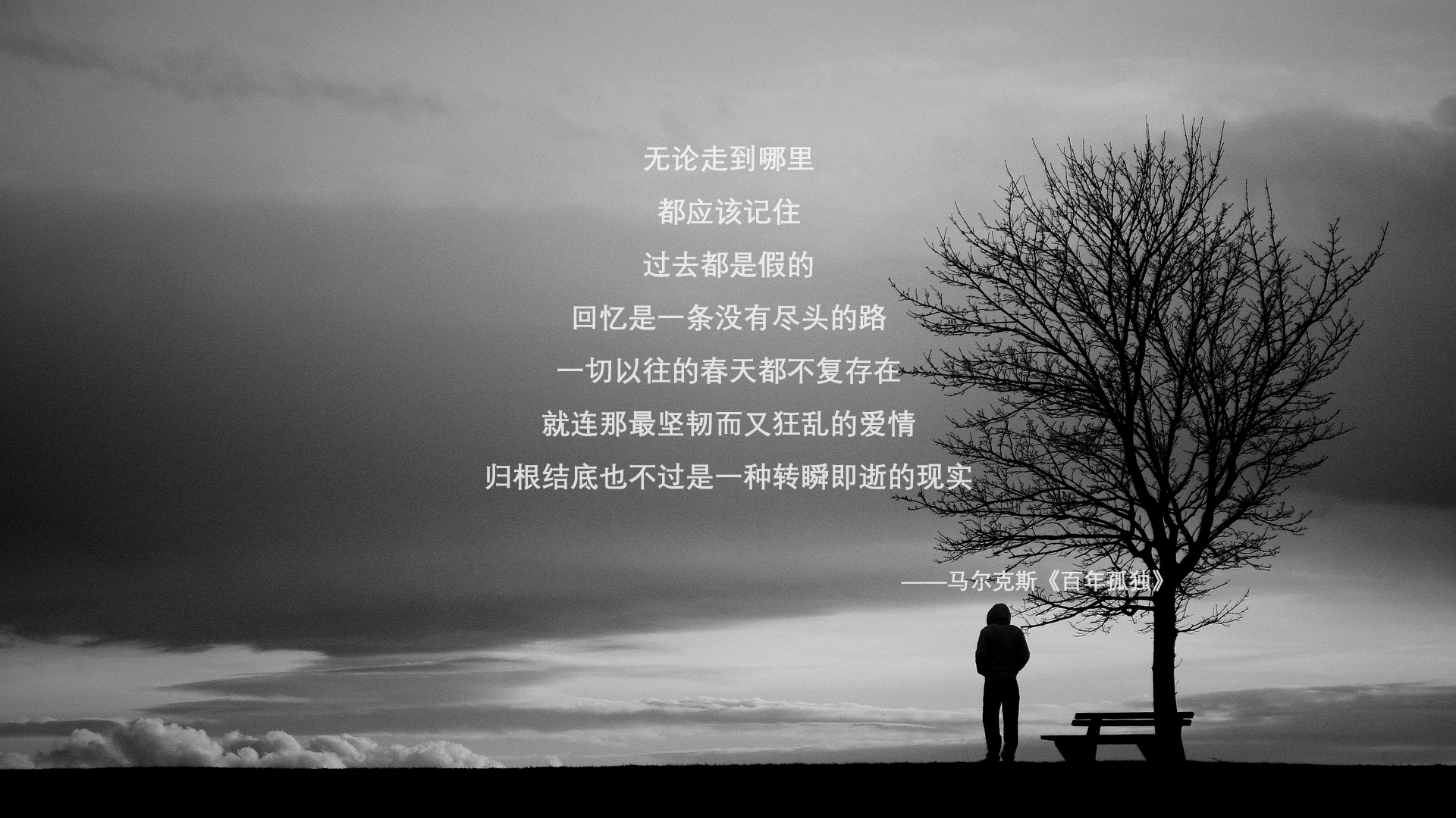 世界乒乓球联赛赛场服务升级二期工程启动，世界乒乓球职业联赛